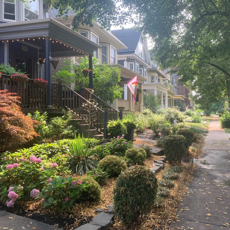 A row of charming houses with front porches and well-maintained gardens along a shaded sidewalk in a suburban neighbourhood.